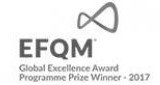 EXCELENCIA EUROPEA EFQM 2017