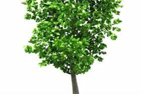 Cuidar el medioambiente, es cuidar la salud de las personas